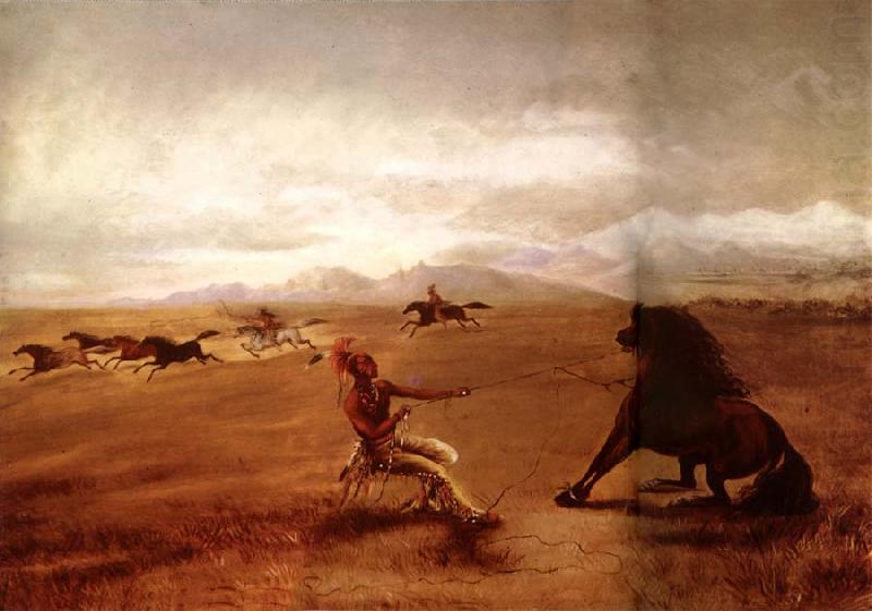 Catching wild horses, George Catlin